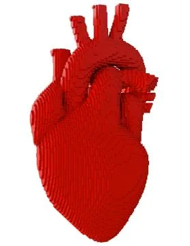 3d printed heart isolated 스톡 일러스트