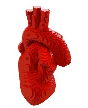 3d printed heart isolated 스톡 일러스트