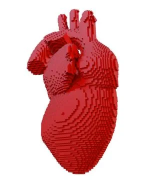 3d printed heart isolated 스톡 일러스트