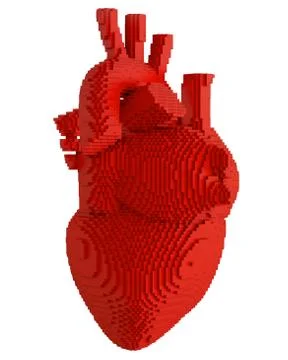 3d printed heart isolated 스톡 일러스트