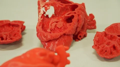3D printed red models of human heart Stock Footage 99054516