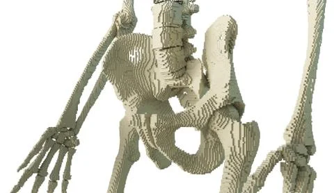 3d printed skeleton isolated イラスト素材