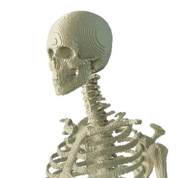 3d printed skeleton isolated イラスト素材