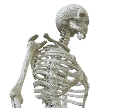 3d printed skeleton isolated 스톡 일러스트
