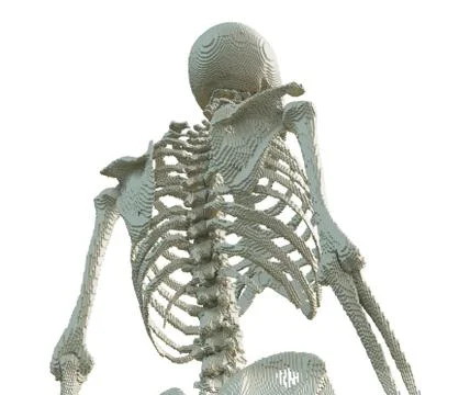 3d printed skeleton isolated 스톡 일러스트