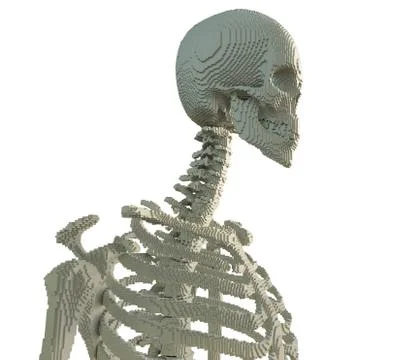 3d printed skeleton isolated Stock Illustration