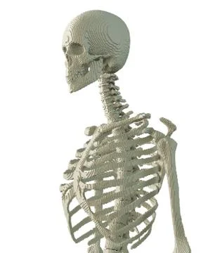 3d printed skeleton isolated Illustrazione stock