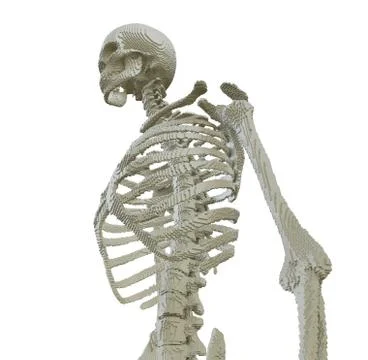 3d printed skeleton isolated 스톡 일러스트