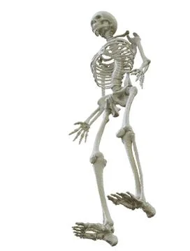 3d printed skeleton isolated Stock Illustration