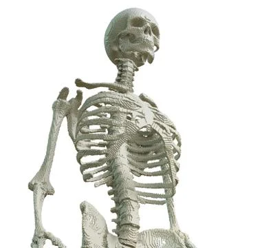 3d printed skeleton isolated Stock Illustration