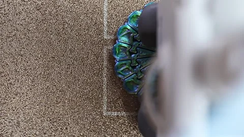 3D printer creates a colorful object with detailed designs Stock-Footage 344420890