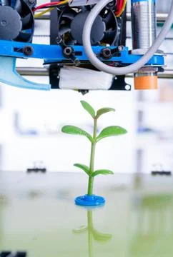 3d printer of the device during the processe. Young Plant Growing Stock Photos