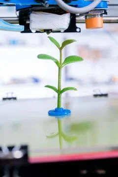 3d printer of the device during the processe. Young Plant Growing Stock Photos