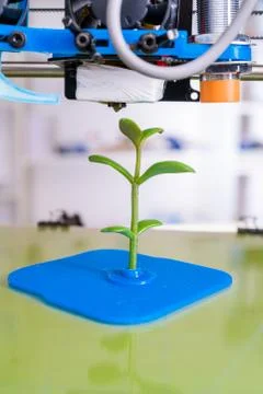 3d printer of the device during the processe. Young Plant Growing Stock Photos