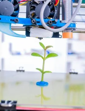 3d printer of the device during the processe. Young Plant Growing Stock Photos