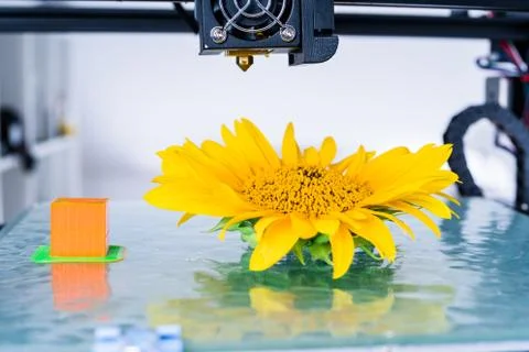 3D printer mechanism working during the processes..Modern 3D printing. Stock Photos