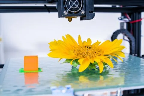3D printer mechanism working during the processes..Modern 3D printing. Stock Photos