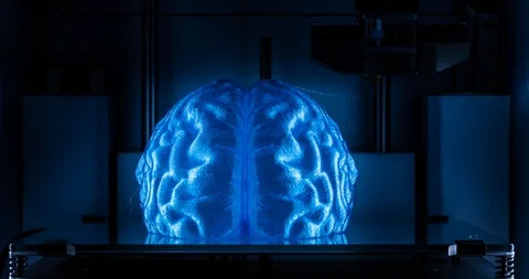 3d printer working, 3D printed human brain model Vidéo 85703138