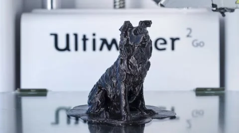 3D printer working, 3d printing black dog, TL  Stock Footage 65406010
