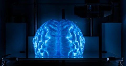 3D printer working, printing human brain model - 4K time lapse video, CU TL Vidéo 85703245