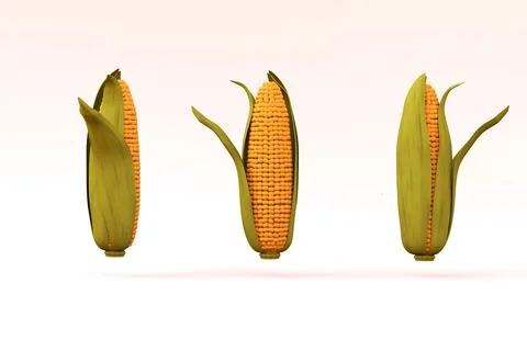 3D realistic corn models on a white isolated background. Yellow corn in a green Stock Illustration