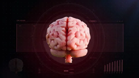 3D Realistic Human Brain Scanning Tuning Anatomy with Dark Red HUD Interface. Stock Footage 336719648