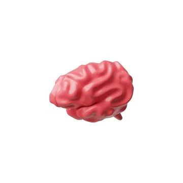 3D realistic model of human brain, vector render pink cerebrum isolated, volume 스톡 일러스트