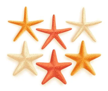 3D Realistic Set of Vector Starfish with Different Colors Stock Illustration
