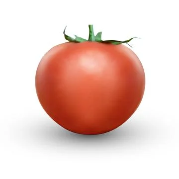 3d realistic Tomato on white background.  Realistic fresh juicy tomato with g Illustrazione stock