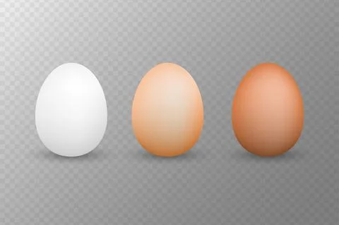 3d realistic vector aggs. Flat illustration. Healthy meal. Natural product. V Stockillustratie