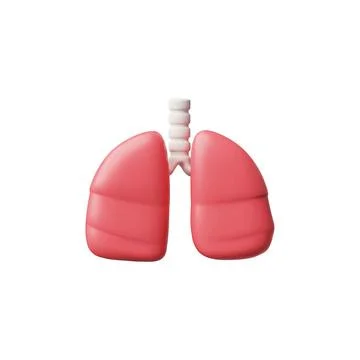 3D realistic vector model of human lungs with trachea, Anatomy science concept 스톡 일러스트