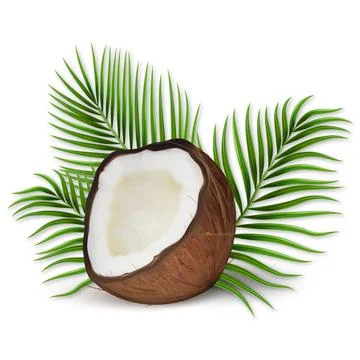 3D realistic vector set of coconut, coconut halves and palm leaves Stock Illustration