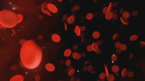 3D Red Blood Cells Flowing Through Artery in Human Bloodstream Stock-Footage 331774155