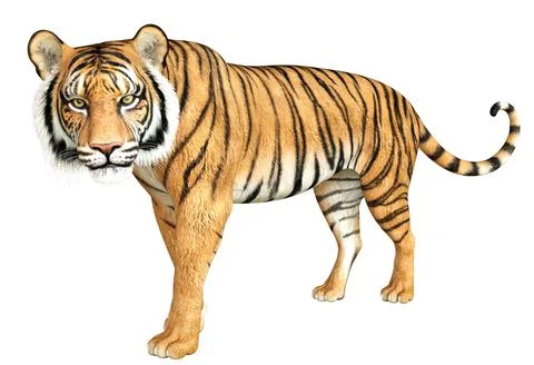 3D Red Tiger Иллюстрация