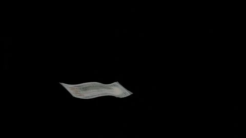3d render of a 100 dollar bill falling on a black background for inserts Stock Footage 291132457