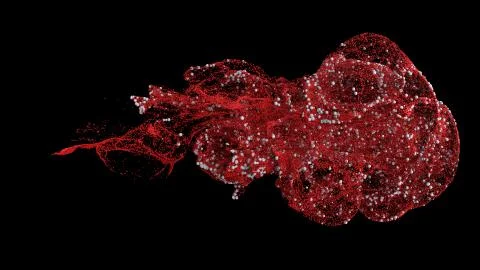 3d render abstract background with complex particle simulation. Twirl, curl a Stock Illustration