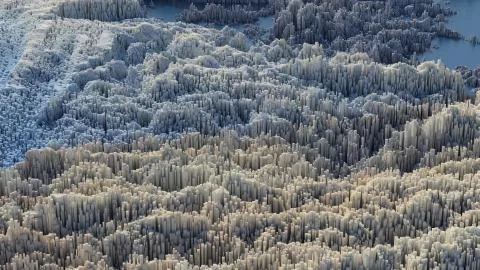 3d render abstract background with complex structure made of array of vertica Stock Illustration