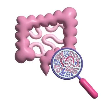 3d render Abstract human intestine and magnifier. Gut microbiome concept. SIBO 스톡 일러스트