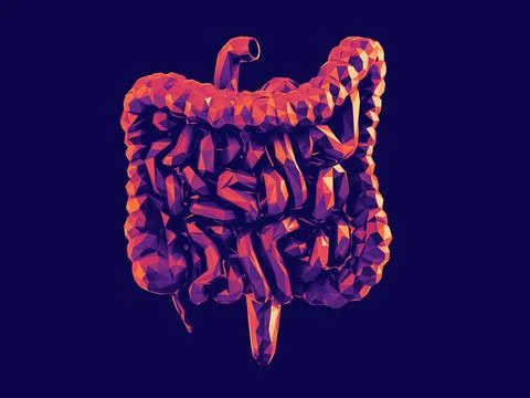 3d render of abstract low poly human internal organ - intestine Stock Illustration