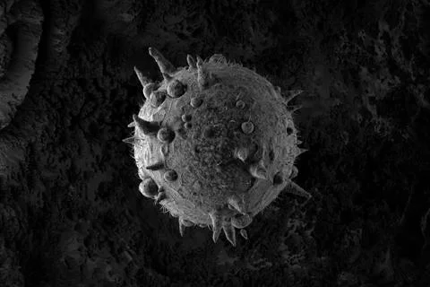 ..3d render of abstract microscopic shape. Germ or bacteria concept. Illness, Stock Illustration