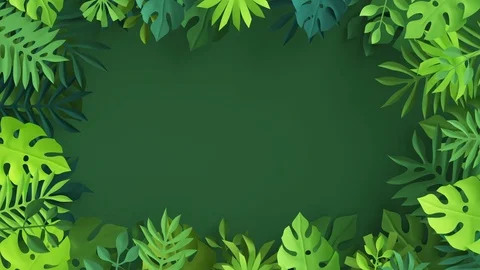 3d render, abstract paper tropical palm leaves waving isolated on green backg Stock Footage 125991943