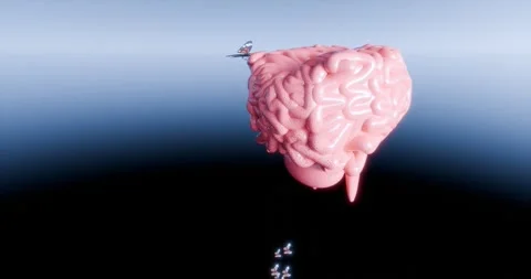 3D render animation butterfly resting on a human brain concept of mental health. Stock Footage 338352248