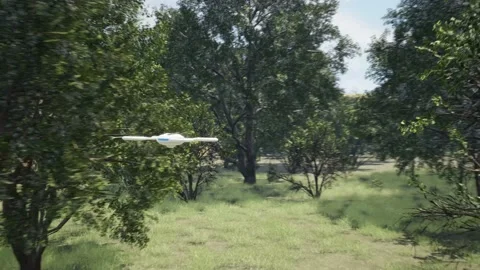 3d render animation of drone fly over forest with trees and grass like park  Stock Footage 237534113