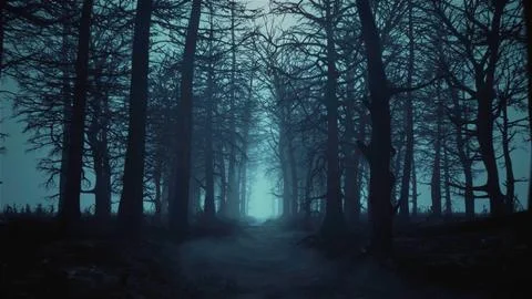 3d render animation of flying through a scary forest Stock-Illustration