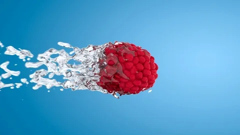 3D render animation of liquid water splash through red raspberry. Liquid flying  Stock Footage 124891780