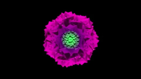 3d render animation of symmetrical multicolor basic compound poly with struts Stock Footage 302987761