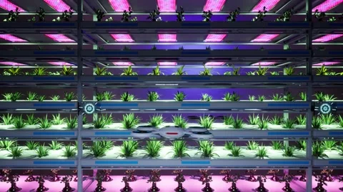 3d render animation of vertical farm of plants with drones fly over and chec Video stock 237869726