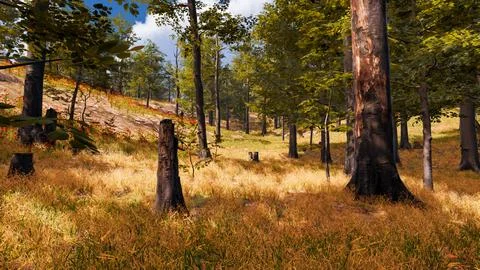 3D Render Background to ecology and sustainable development, environmental .. Stock Illustration