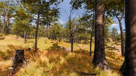 3D Render Background to ecology and sustainable development, environmental .. 库存插图