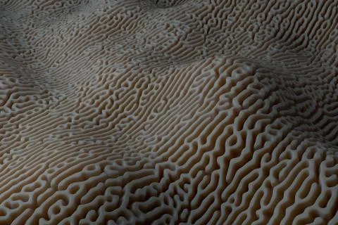 ....3d render background with oraganic light scattering. Displacement surface Stock Illustration